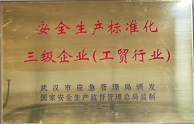 安全生產(chǎn)標準化三級企業(yè)（工貿(mào)商...